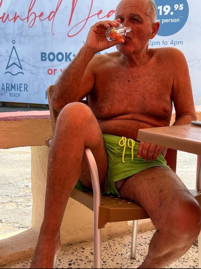 Arnold Cassola Tal-Bajd Barra Jrid Siġġu Parlamentari