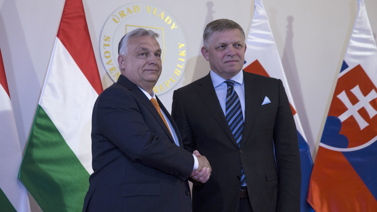 EU nations order joint probe into Russian oil pipeline halt