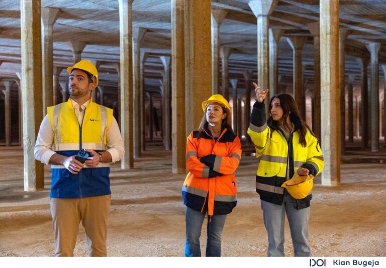 Proġett ta’ madwar €2 miljun biex jinbnew mill-ġdid partijiet mill-ġibjun ta’ Fiddien