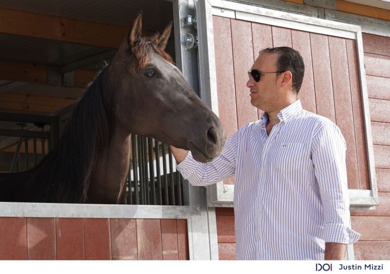 Faċilitajiet ġodda għal żwiemel sportivi rtirati
