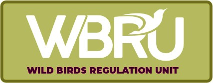 Ir-Rwol tal-WBRU f’Malta